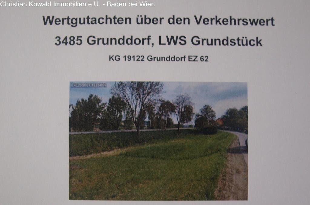 Bild Wertgutachten