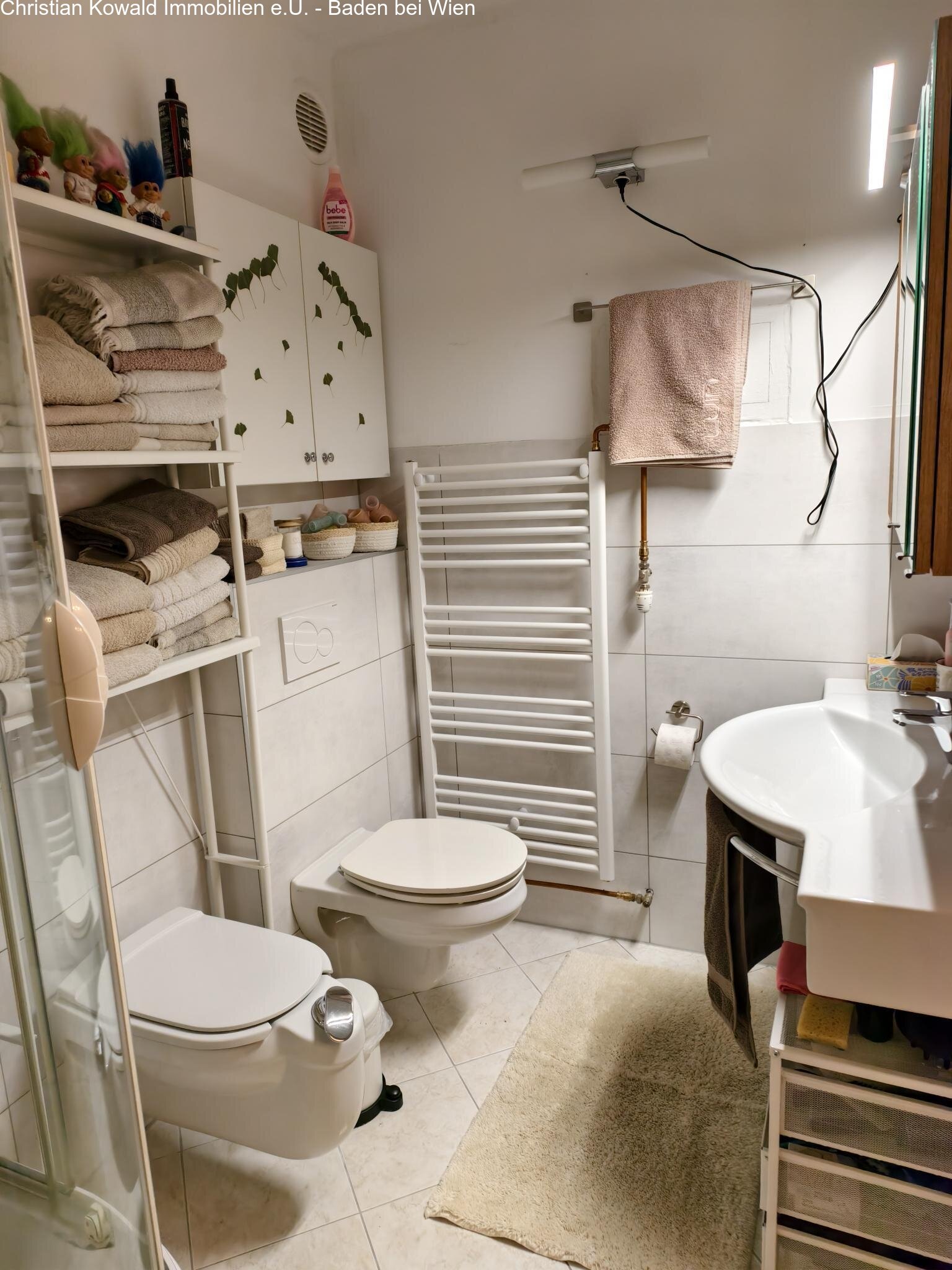 Badezimmer mit WC Badezimmer mit WC