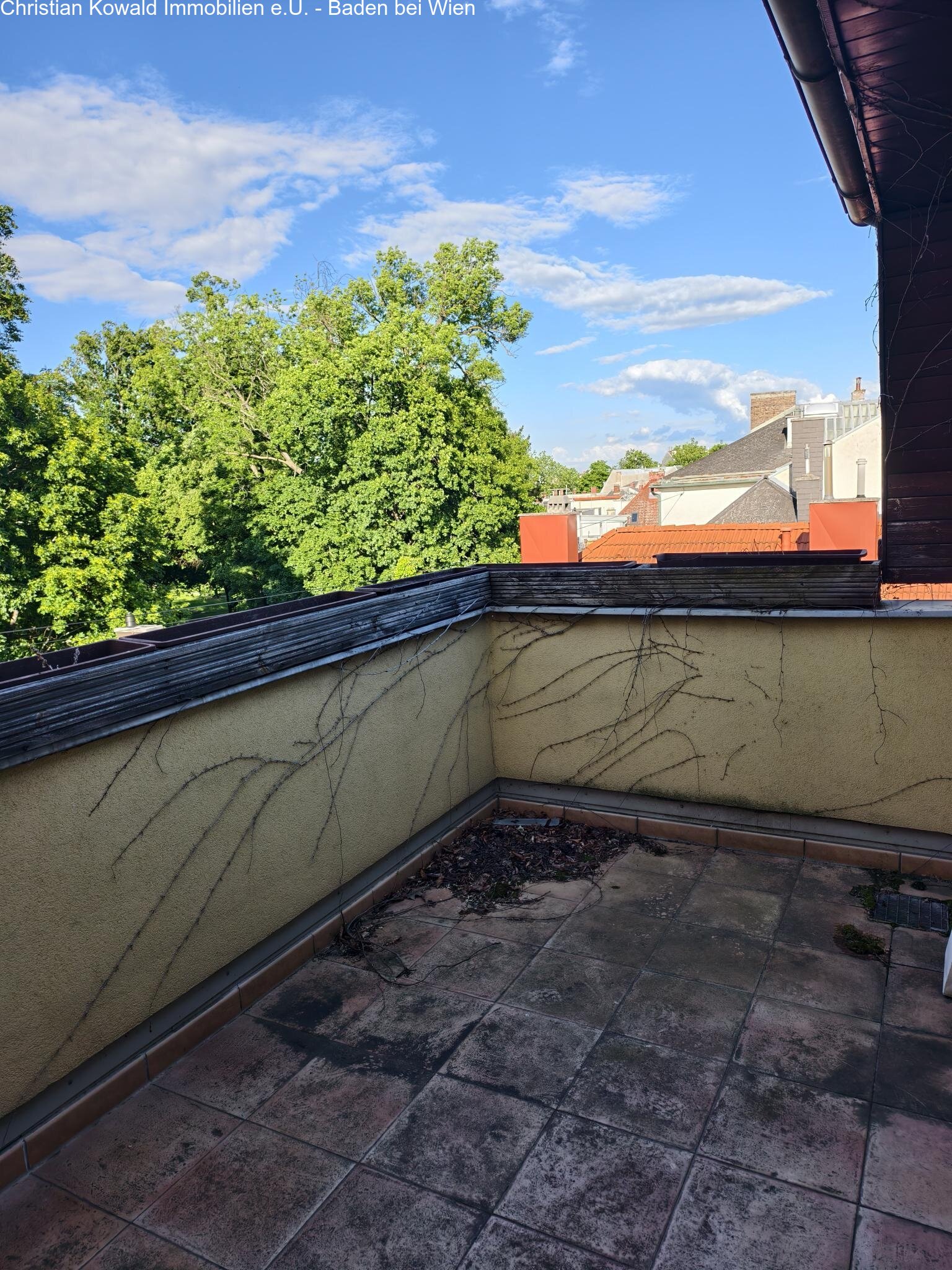 Terrasse Bild1 Terrasse Bild1