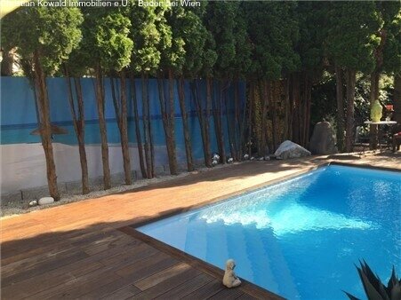 Pool mit Bäume Pool mit Bäume