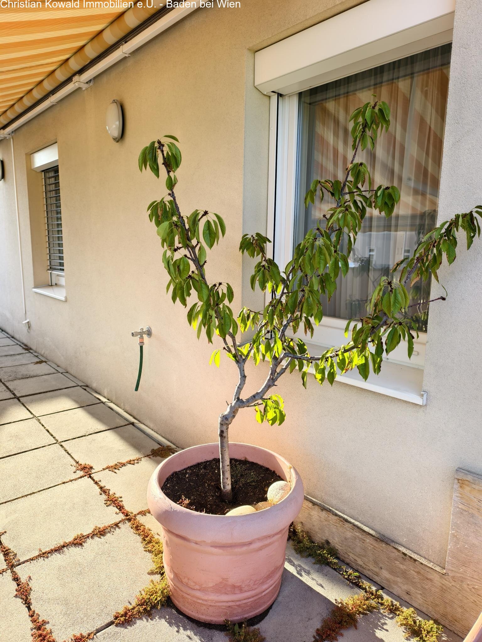 Wasseranschluß auf der Terrasse